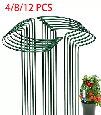 4/8x Round Metal Plant Supports Stake For Peonies Hydrangea Strong Stakes Garden • £9.59