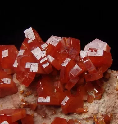 VANADINITE Beautiful RED Lustrous Crystals ! MOROCCO Mibladen /pj152 • $34.99