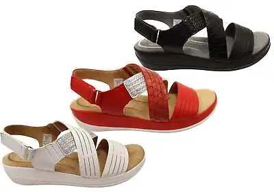 £56.56 • Buy Scholl Orthaheel Carol Womens Comfortable Memory Foam Sandals