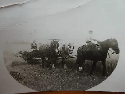 £3.60 • Buy Vintage Working Life Shire Horses; Ploughing? (#2012) Small Photograph
