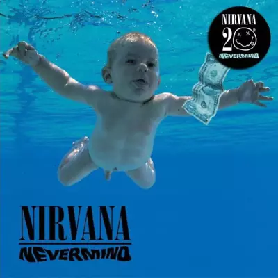 Nirvana - Nevermind 20th Anniversary - CD Album • $57.95