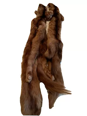 £10 • Buy Vintage Collectable Brown Real Fox Fur Or Similar Animal Stole.