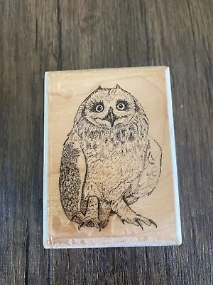 Mostly Animals Wood Mounted Rubber Stamp Merlin Owl Realistic 627-S6 • $11.20