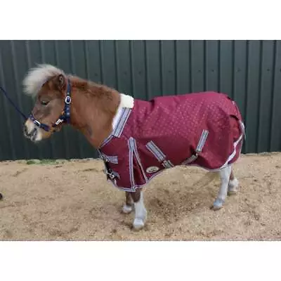 Ruggles Shetland-Miniature-Donkey-Section A 100g V2 Turnout Rug - Teflon Coated • £62