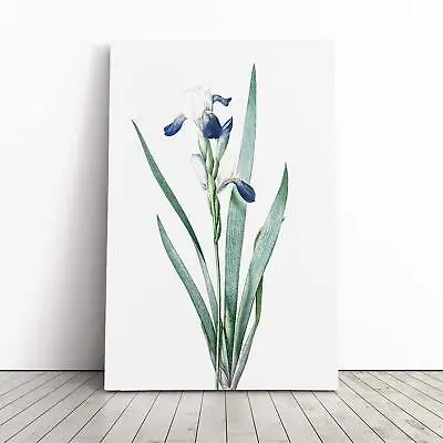 £19.95 • Buy Tall-bearded Iris Flowers Pierre-Joseph Redoute Canvas Wall Art Print Picture