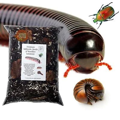 PREMIUM MILLIPEDE BEETLE & WOODLICE  Substrate Edible Isopod Soil Myriapod • £28.99