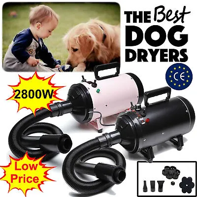 £71.10 • Buy Powerful 2800W Dog Pet Grooming Hair Dryer Professional Blaster Bathing Beauty