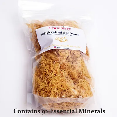 £380 • Buy Sea Moss Organic Gold Dr Sebi Grade (Irish Moss) Wild Crafted - St Lucia Cottoni