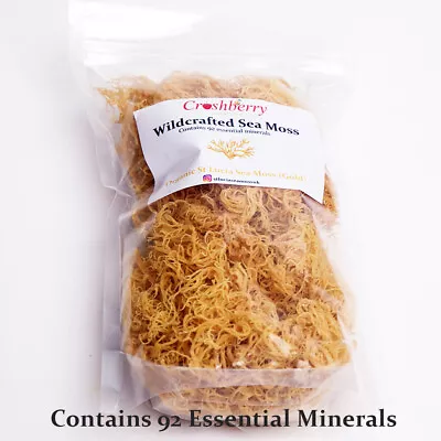 £380 • Buy Sea Moss Organic Gold Dr Sebi Grade (Irish Moss) Wild Crafted - St Lucia Cottoni