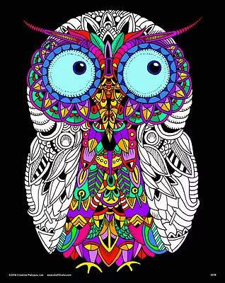 Owl - Large 16x20 Inch Fuzzy Velvet Coloring Poster • $8.99