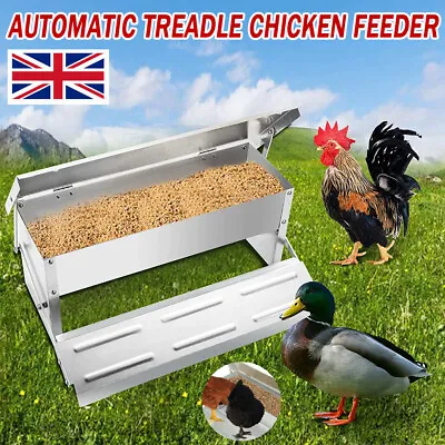 5KG Automatic Chicken Feeder Poultry Self Opening Treadle Aluminium Waterproof • £23.50