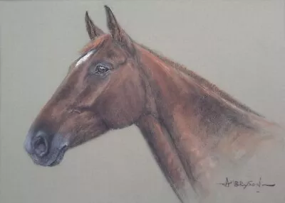 Framed Original Pastel Charcoal Drawing Of Race Horse Kildare Signed A Bryson • £49.99