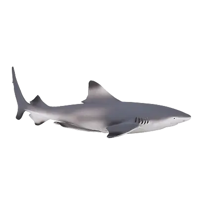 £9.75 • Buy Mojo BLACK TIP REEF SHARK Plastic Animal Sea Toy Figure Model Figurine Fish Bath