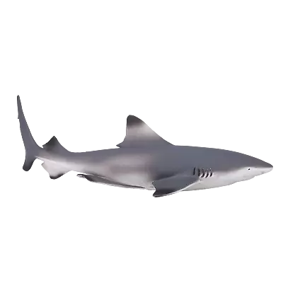 £9.75 • Buy Mojo BLACK TIP REEF SHARK Plastic Animal Sea Toy Figure Model Figurine Fish Bath