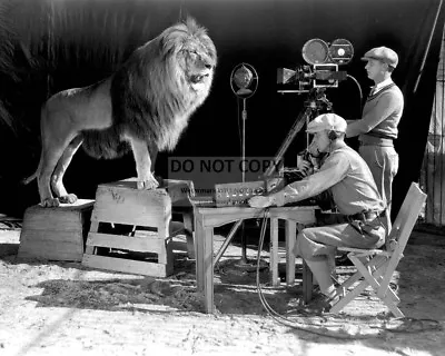 11x14 Photo - Mgm Filming  Leo The Lion  For Official Logo Circa 1928 (rt178) • $14.98