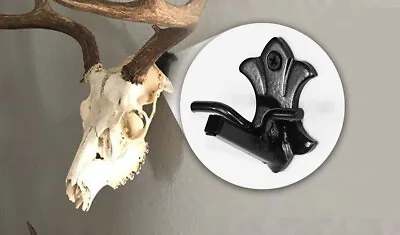 The  Buck Bracket  European Deer And Anteope Skull Hanger Euro Mount Hooker USA • $34.99
