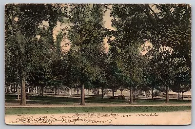 Monona Park Monona IA C1900's Postcard T19 • $12.50