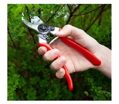 Garden Hand Pruner Secateurs Pruning Shears 8  Cutter Scissors Plants Bush Tool • £4.72