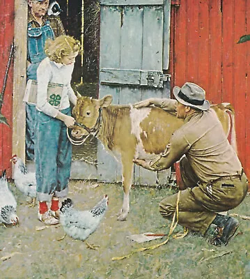 COUNTY AGENT AND 4 H GIRL    NORMAN ROCKWELL 8x10 Poster FINE ART Print   • $3.97