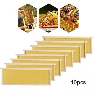 10pc/Set Assembled National Beehive Super & Brood Bee Hive Frames And Foundation • £35.95