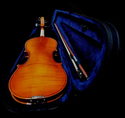 Violins- New Adult 4/4 Flamed Solid Concert Violin/fiddle- • $128.40