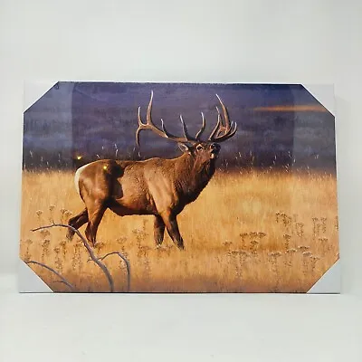 Elk Canvas Wall Art 12x18 Wildlife Christmas Gift • $4.99