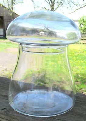 Vtg Libbey Crystal Creations Clear Glass Mushroom Terrarium Container Jar • $27.98