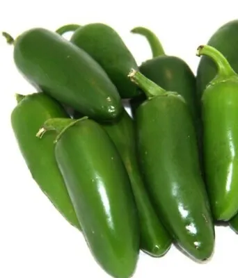 Jalapeno Early - Green Hot Chilli Pepper - Allotment Vegetable Garden- 10  Seeds • £0.99