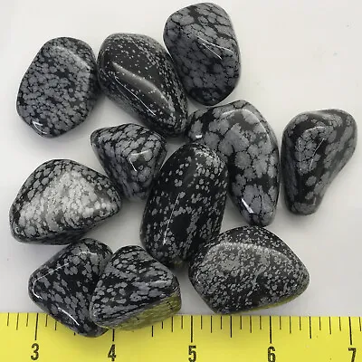 OBSIDIAN SNOWFLAKE X-Large ( 1-1/4  To 2 ) Polished Volcanic Glass  1/2 Lb • $11.60