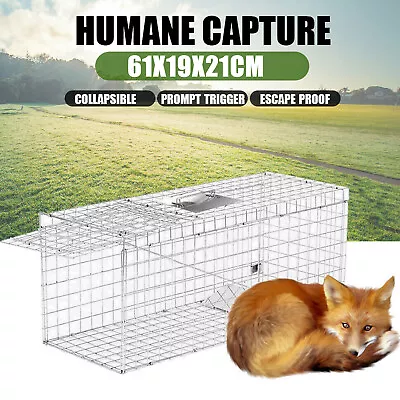 Large Live Humane Cage Trap For Squirrel Chipmunk Rat Mice Rodent Animal Catcher • $37.56