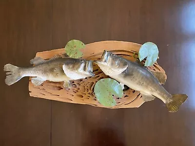 Largemouth Bass Taxidermy Mounted On Pecky Cypress Board • $12.50