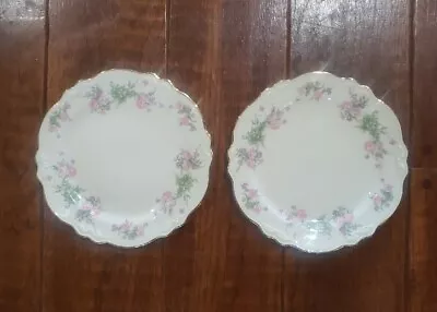 2 Homer Laughlin Virginia Rose Fluffy? 10 1/4  Dinner Plates K 45 N 8 Goldtone • $28