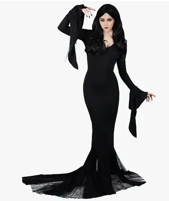 Women's Morticia Addams Cosplay Costume Gothic Black Long Dress Size S NWT • $24.50
