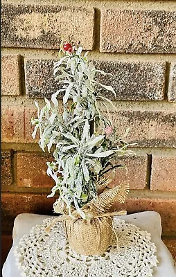 Mini Frosty Herb Tabletop Christmas Winter Tree 10” NEW • $9.21