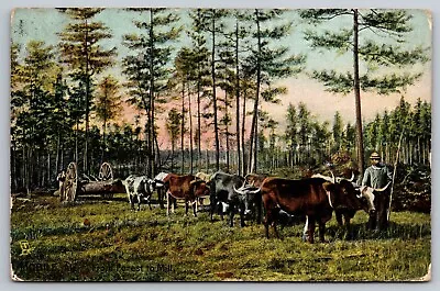 Postcard A 636 Mobile Ala. From Forest To Mill Raphael Tuck Posted Dec. 1907 • $26.95