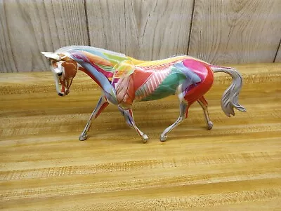 Breyer Horse Anatomy In Motion Strapless Mold Traditional Model • $360