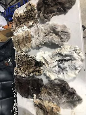 Lot Of 9 Rabbit Skin Pelts - Genuine Leather Fur • $35