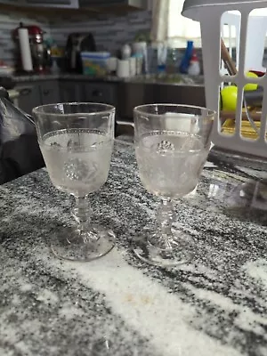 Vintage Canton Glass Company Dahlia Cordial Goblet Pair • $8