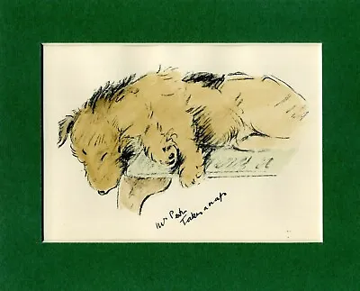 Lucy Dawson ~ Welsh Terrier ~ Hand Coloured Print Genuine Vintage 1939 • $10.09