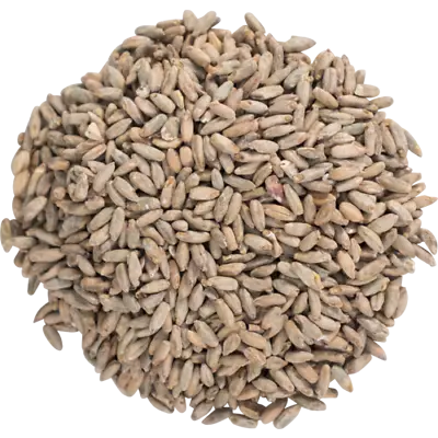 $26.99 • Buy Proximity Rye Malt 10 Lb For Homebrewing Beer Making Vacuum Packed For Freshness