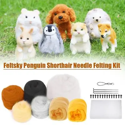 Shorthair Needle Felting Kit For Beginners Easy Steps To Make With Everythi F2W2 • £5.52