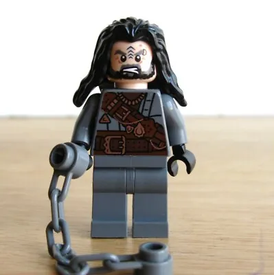 LEGO Lord Of The Rings Pirate Of Umbar 79008 Pirate Ship Ambush Aragorn Gimli • $23.98
