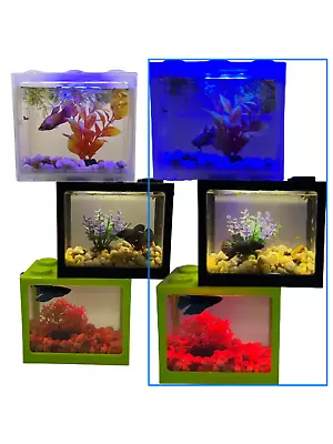 Stackable Building Block Mini Usb Display Tank Betta/invertebrate Aquarium Lego • $5