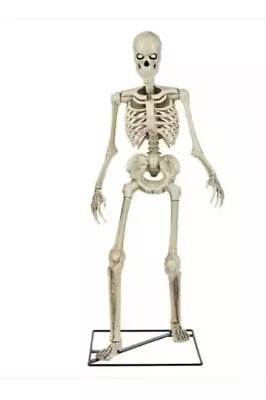 NEW Home Depot 3 FT. Foot LED Skeleton Skelley Home Accents Holiday • $169