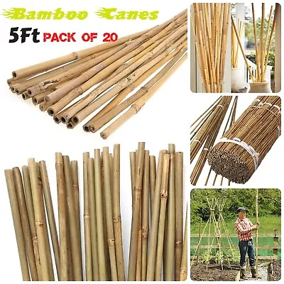 X20 5FT Durable Bamboo Garden Canes Natural Thick Stakes Plant Support Stick • £11.99