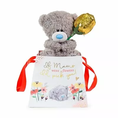 Bear In Bag With Chocolate Rose BOX CHRISTMAS HALLOWEEN GIFT • £15.99