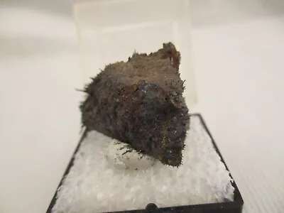 Magnetite Var. Lodestone (With Iron Filings Showing Magnetism) In A Perky Box • $10