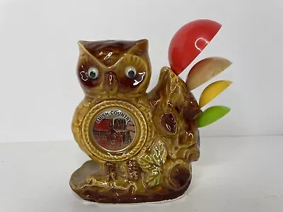 Vtg Owl Measuring Spoon Holder W/ Spoons & Ring Tray Amish Country PA Googly Eye • $11.99