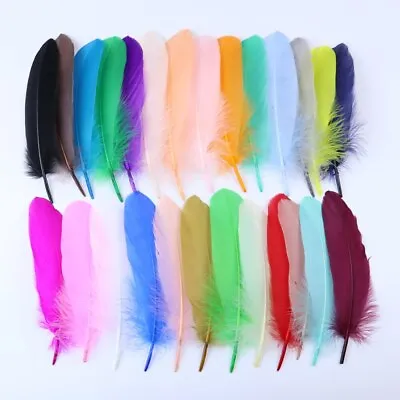 Dyed Goose Feathers 26 Colours DIY Costume Craft Accessory Hat 15-20cm/6-8  • £3.99