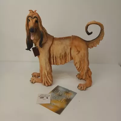 Country Artists A Breed Apart Afghan Hound Dog Swish Ornament 34cm Boxed -WRDC • £18.77